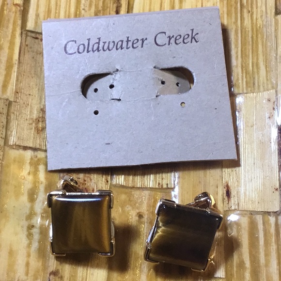 Coldwater Creek Tiger’s Eye clip on earrings - Picture 6 of 6